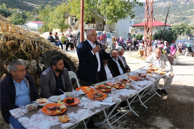 Erdemli Çerçili'de İnceleme