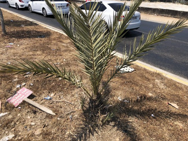 Anamur'da Hayırsever Yetkili Aranıyor