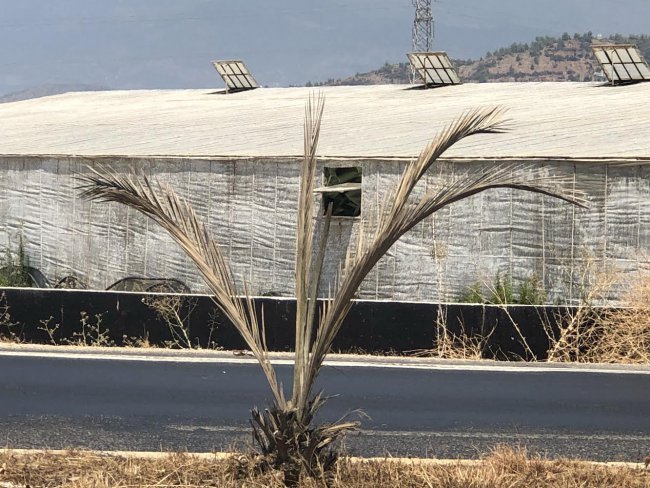 Anamur'da Hayırsever Yetkili Aranıyor