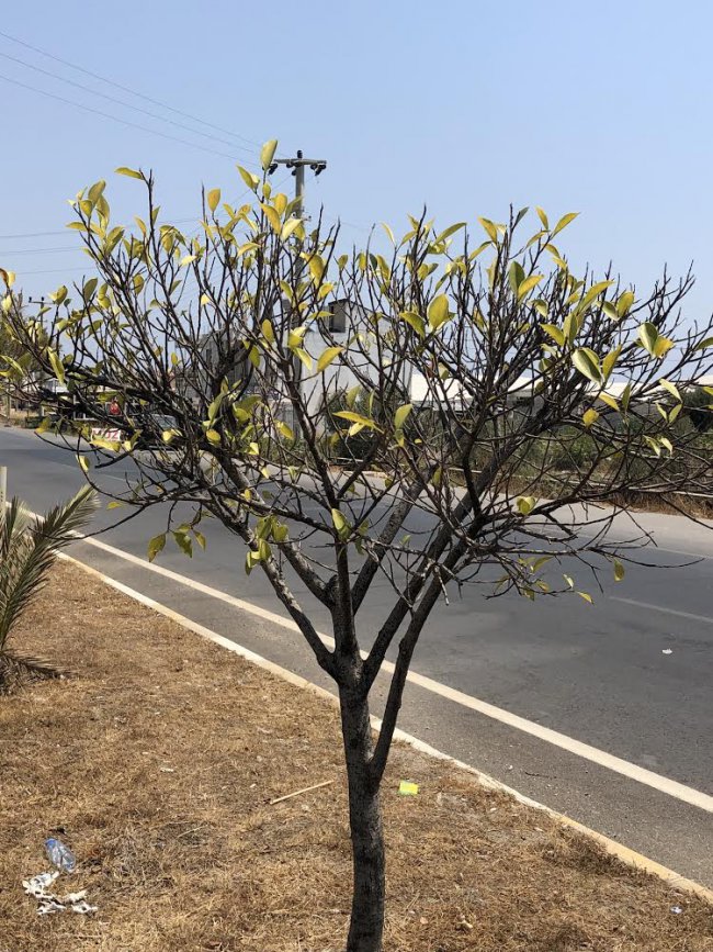 Anamur'da Hayırsever Yetkili Aranıyor